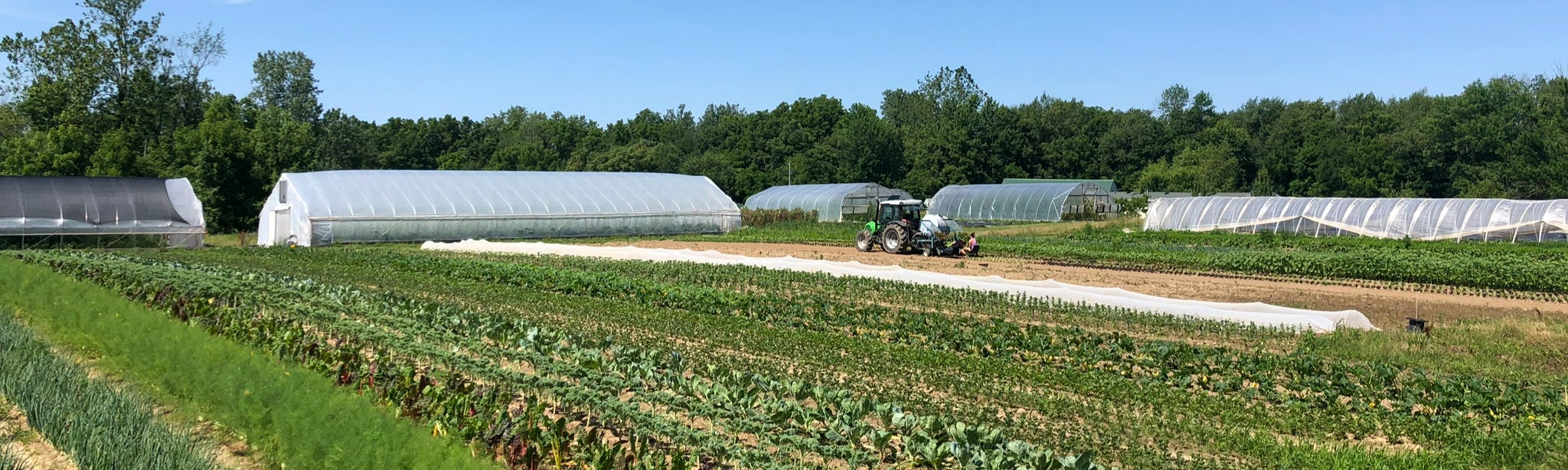 Indianapolis Organic Produce | Full Hand Farm