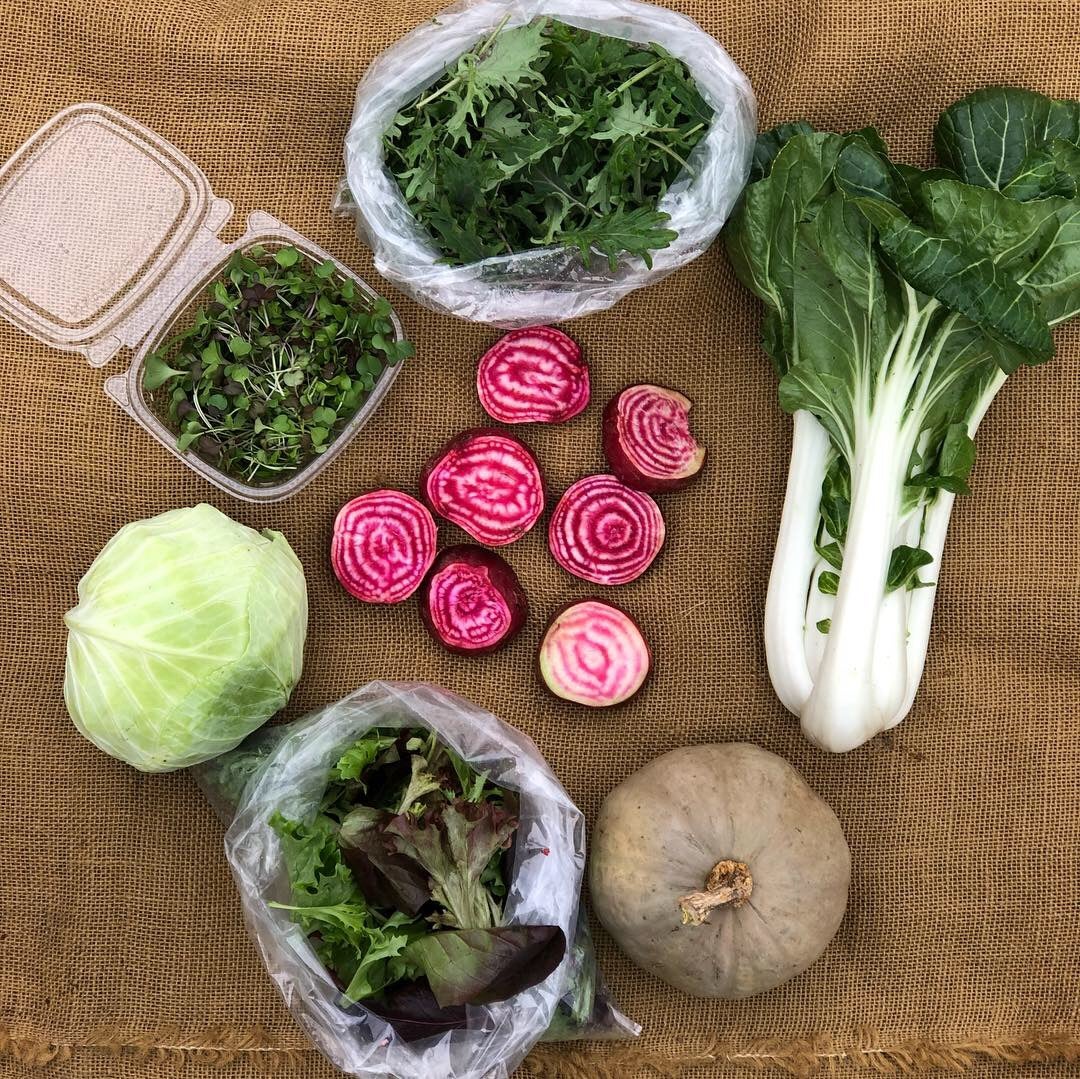 Shop at the Markets | Full Hand Farm